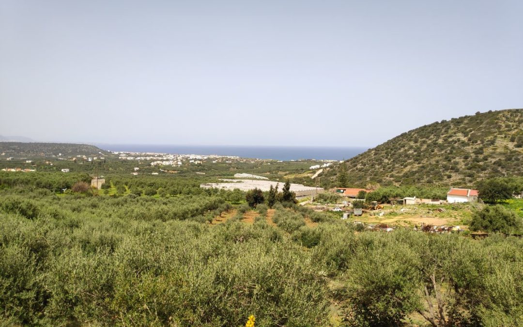 Building plot in the outskirts of the village