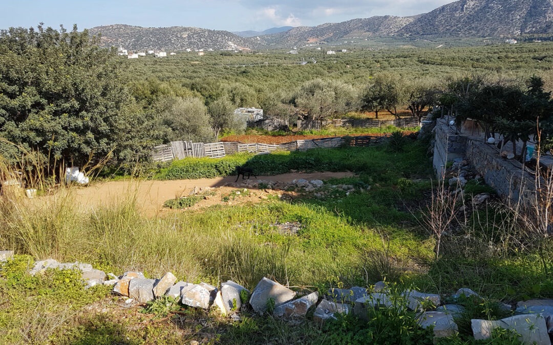 Building plot just outside of the village