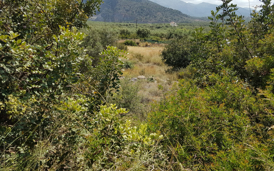 Building plot in the outskirts of the village