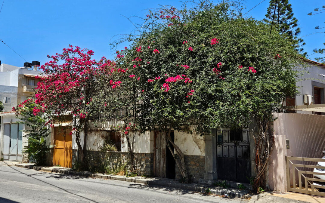 Classic village house with great features and a garden