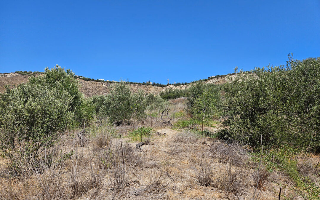 Large Building plot with rural views close to Heraklion
