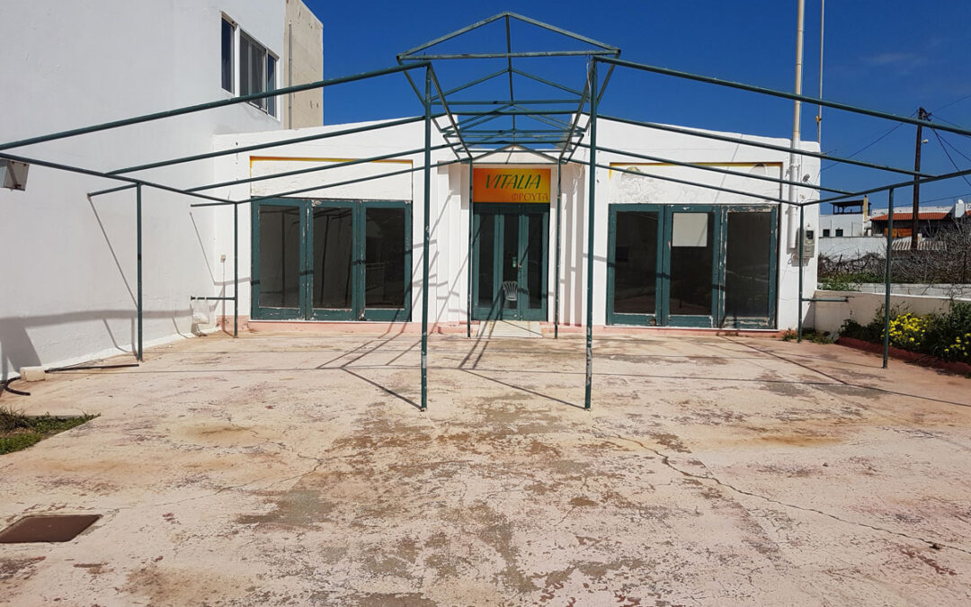 Freehold business opportunity